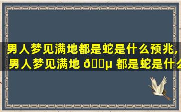 男人梦见满地都是蛇是什么预兆,男人梦见满地 🌵 都是蛇是什么预兆周公解梦